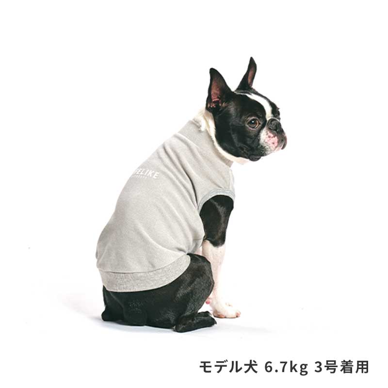 直営公式犬の服　Tシャツ　秋物　3号 犬服・アクセサリー