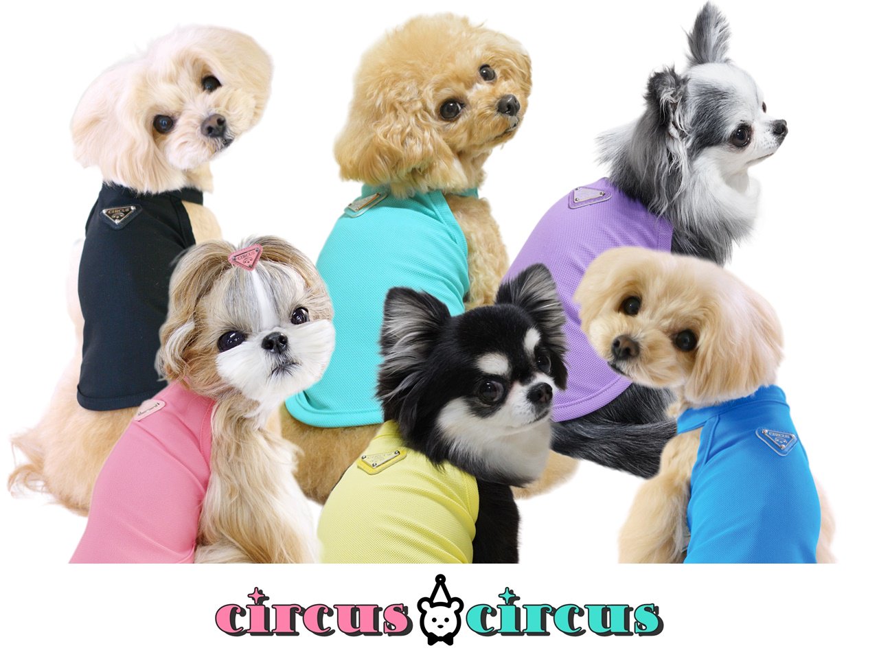 犬服 circus circus サーカスサーカス Chic Mesh ホルターネックタンク