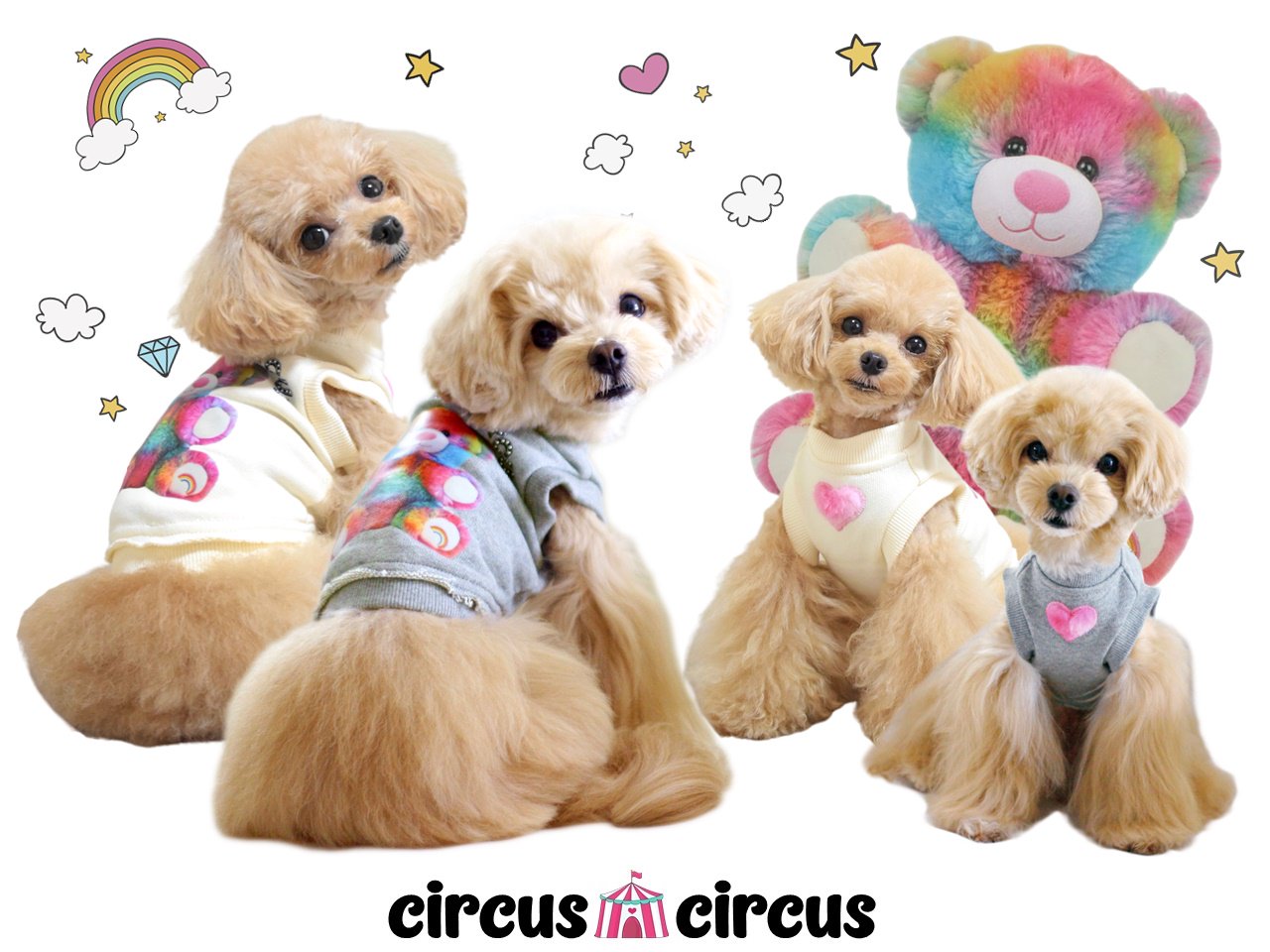 国内発送】 circus circus とトワエモア 犬服 7点セット 犬用品