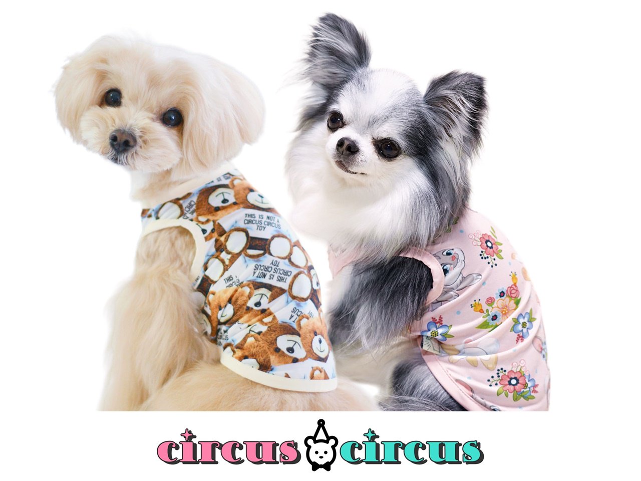 犬服 circus circus サーカスサーカス Toy Bear & Toy Bunny Coolish