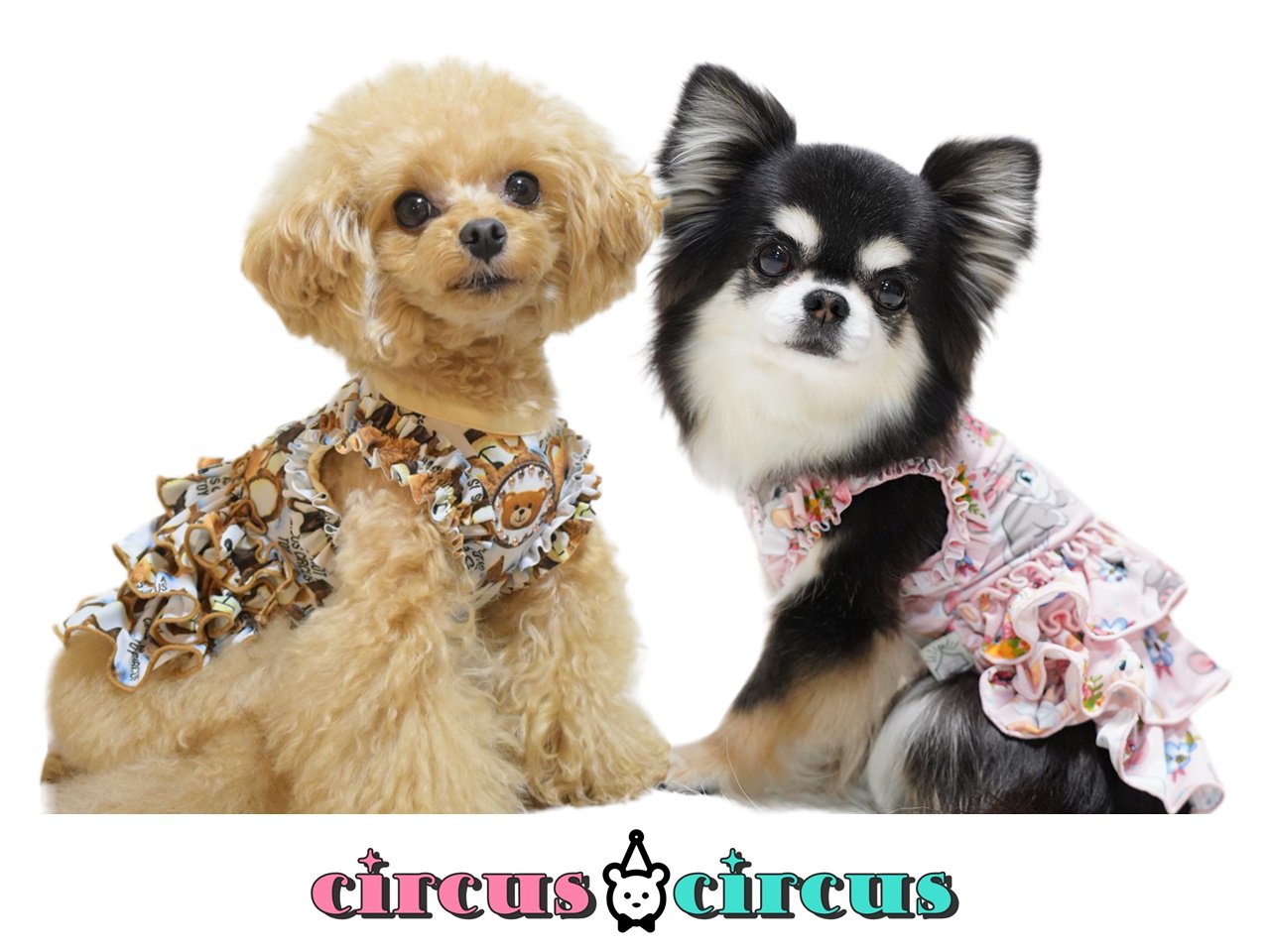 犬服 circus circus サーカスサーカス Toy Bear & Toy Bunny Coolish ...