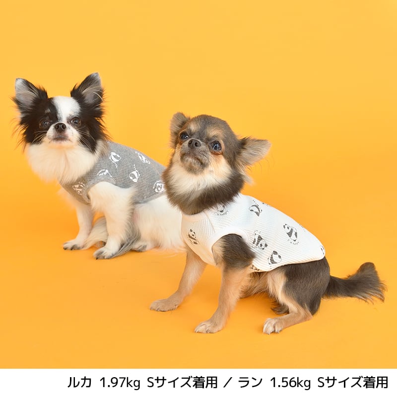 犬用 Ｍサイズ オレンジ タンクトップ Tシャツ 夏用 ペット服 ドッグ