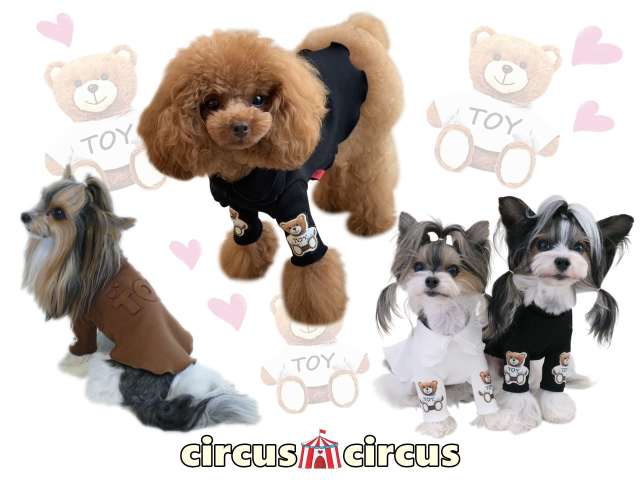 Toy Girls T circuscircus サーカスサーカス 犬服 いぬふく ドッグ