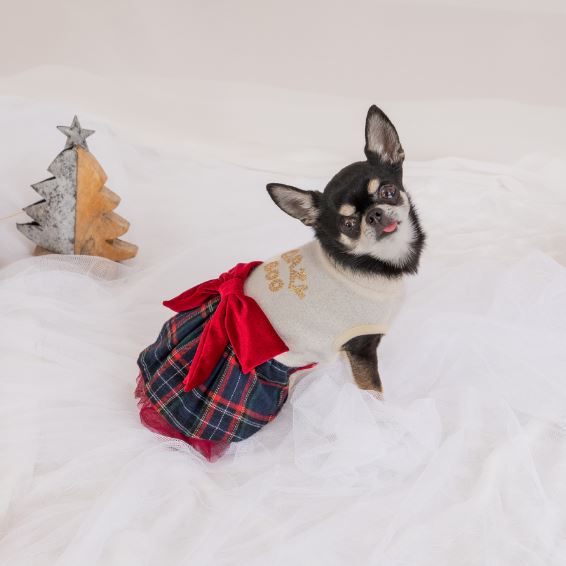 CRAZYBOO　クリスマスチェックワンピ　ティノティート　　優しい　犬服　犬の服　ドッグウェア　ドッグファッション　かわいい　おしゃれ　秋冬　お出かけ　おそろい　クリスマス
