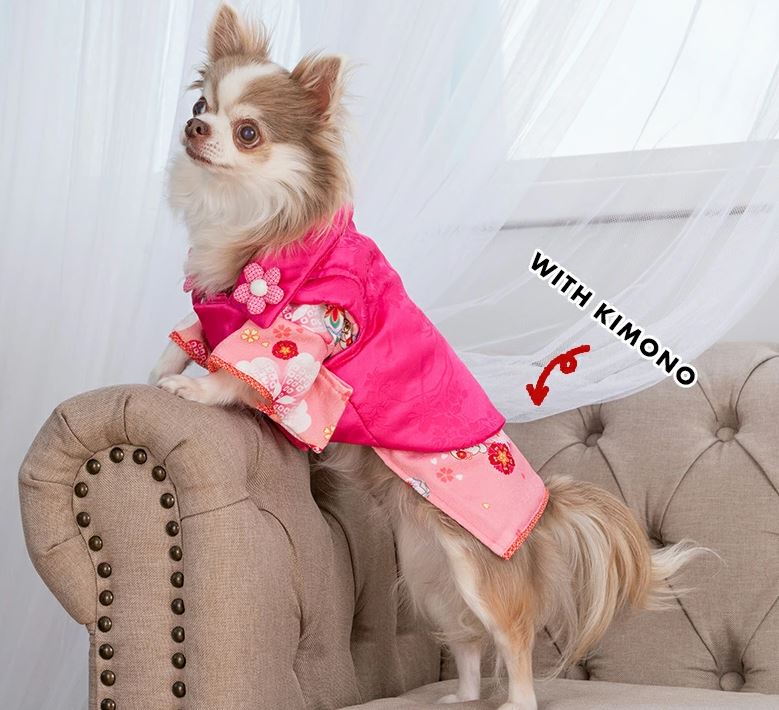 CRAZYBOO　クレイジーブー　和花柄被布コート　犬服　ドッグウェア　犬の服