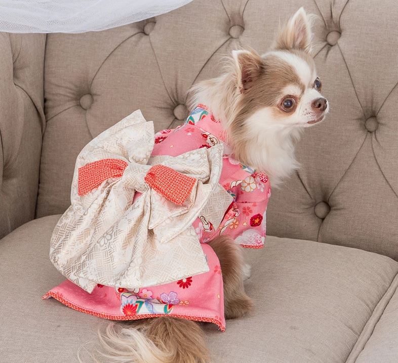 CRAZYBOO　クレイジーブー　桜柄着物　犬服　ドッグウェア　犬の服
