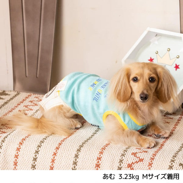 パイル刺繍タンク　ドッグウェア　犬服　いぬふく　春夏　タンクトップ　袖なし　D’s Chat　ディーズチャット
