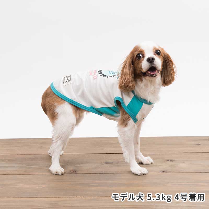 【SALE】ボトルキャップタンク　ライフライク　LIFELIKE　犬服　かわいい　夏服　涼しい　通気性　涼感加工　タンクトップ　暑さ対策