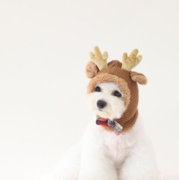 クリスマス帽子　LIFELIKE　ライフライク　犬用帽子　犬用キャップ　サンタ　トナカイ