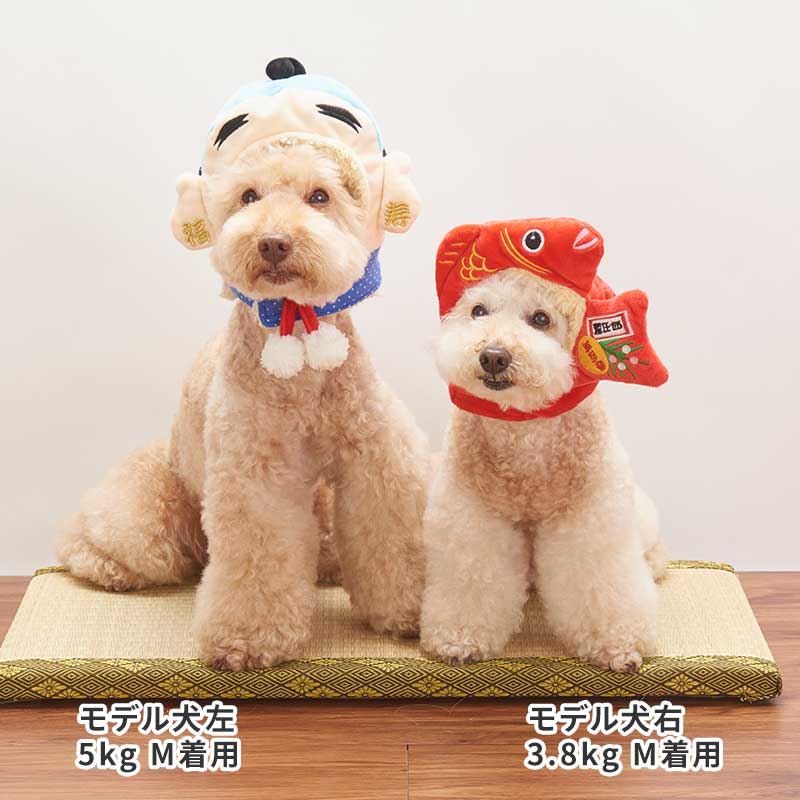 ～SALE～　お正月開運キャップ　犬帽子　犬用キャップ　コスプレ　ライフライク　LIFELIKE　かわいい　おもしろ　写真　安い