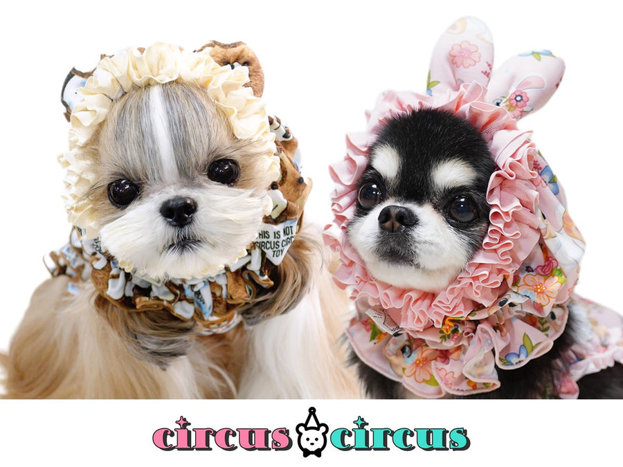 circus circus サーカスサーカス　Toy Bear & Toy Bunny Cooling スヌード　犬　犬グッズ　ドッググッズ　春夏　クール　新作　耳付き　くま　うさぎ　耳あて　