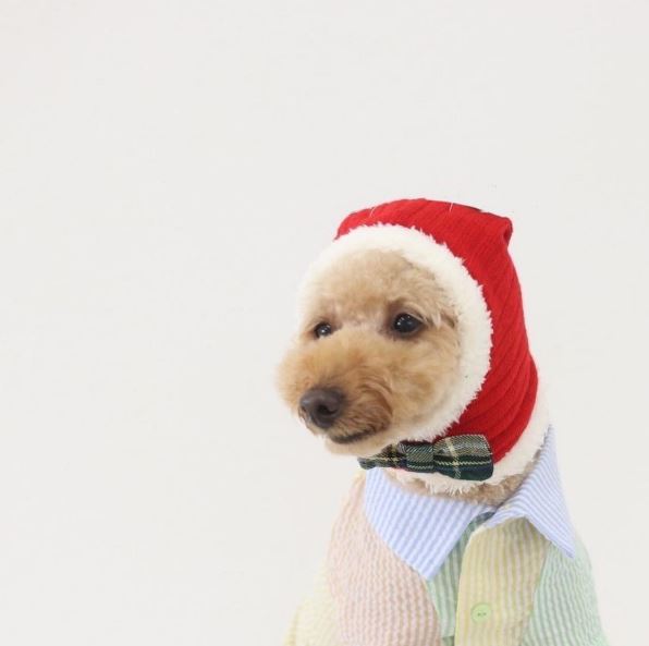 クリスマス帽子　LIFELIKE　ライフライク　犬用帽子　犬用キャップ　サンタ　トナカイ