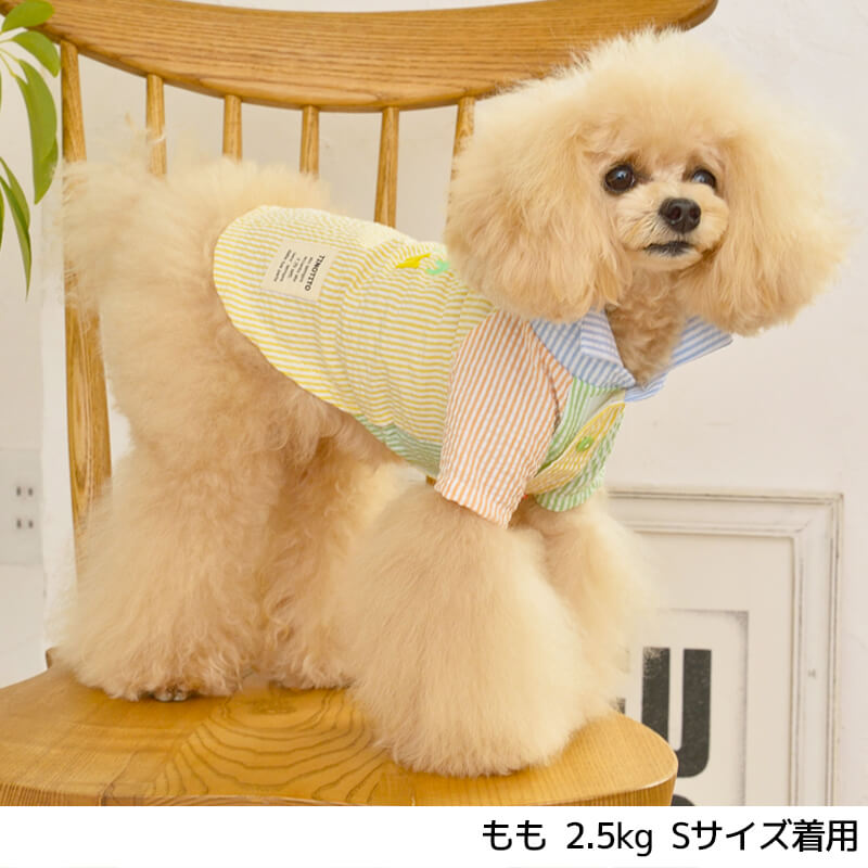 【SALE】アシンメトリーシャツ　犬服　ドッグウェア　かわいい　おしゃれ　夏服　TINOTITO　ティノティート　セール　安い